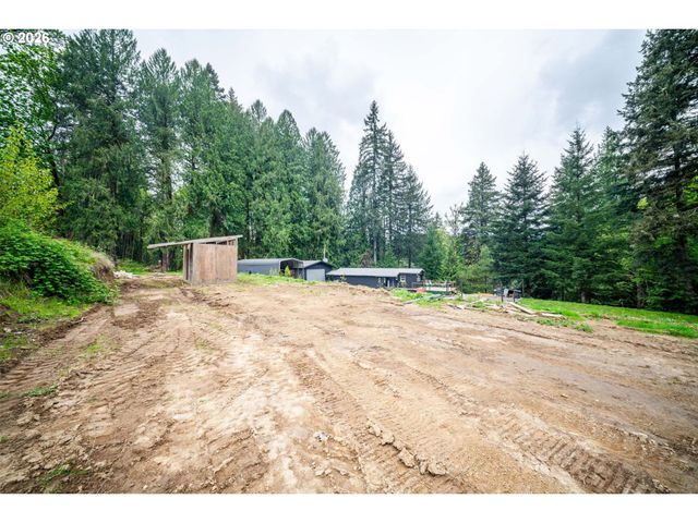 43318 Ne 46TH Ave, Woodland, WA 98674