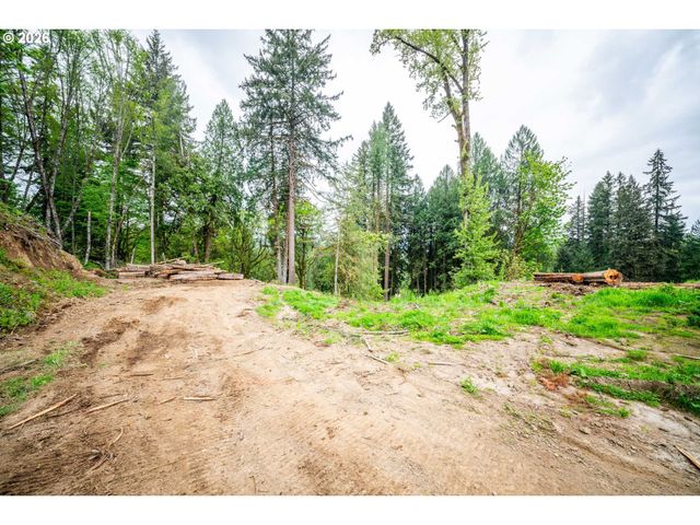 43318 Ne 46TH Ave, Woodland, WA 98674