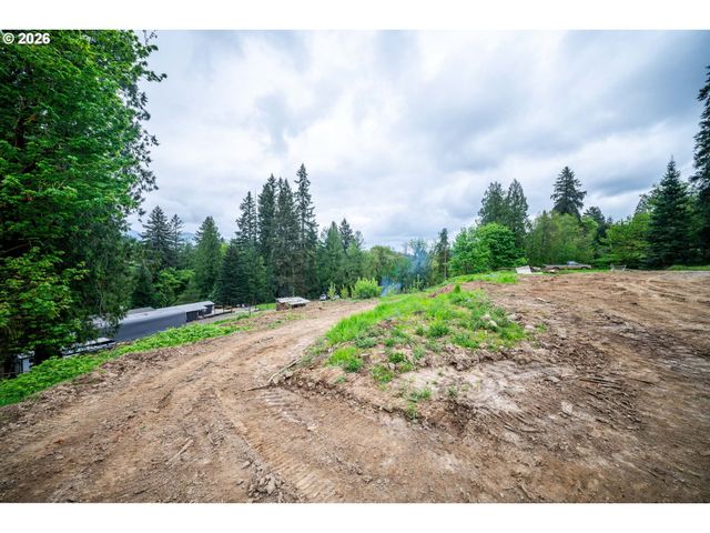 43318 Ne 46TH Ave, Woodland, WA 98674