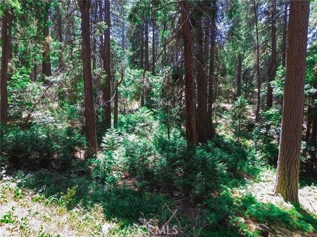 590 Electra Drive, Crestline, CA 92325