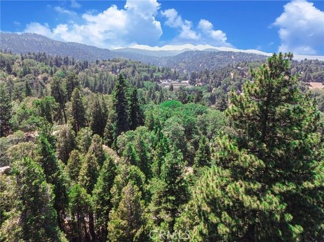 590 Electra Drive, Crestline, CA 92325