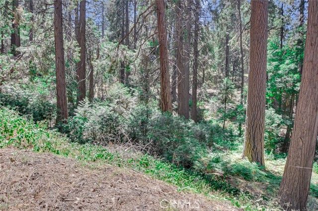 590 Electra Drive, Crestline, CA 92325