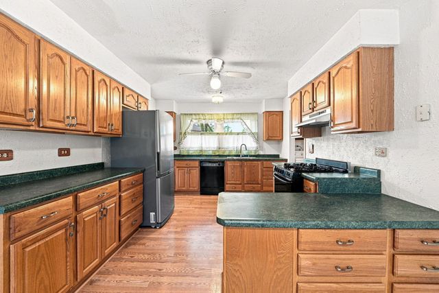 1600 Cambourne Lane, Schaumburg, IL 60194