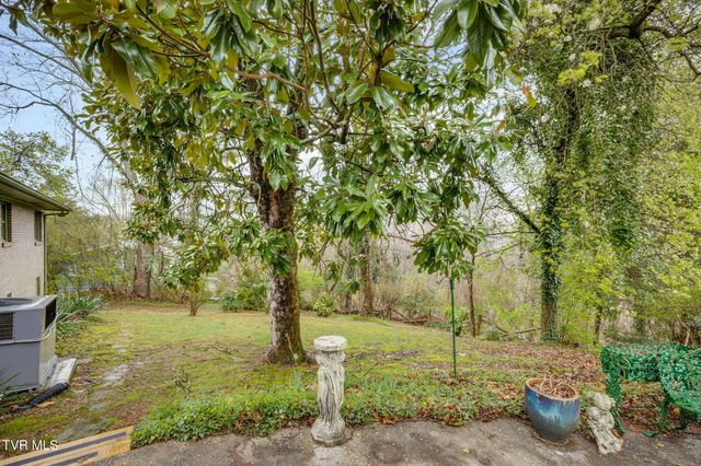 730 Outer Drive, Rogersville, TN 37857