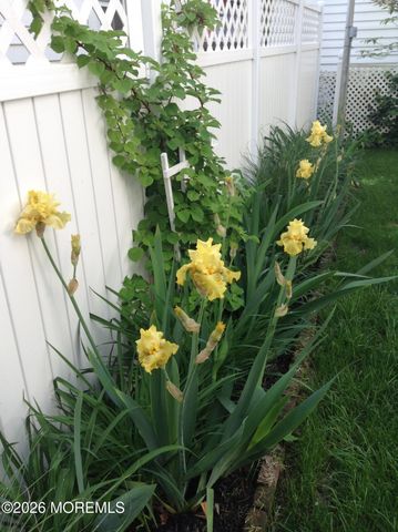 74 Mount Hermon Way, Ocean Grove, NJ 07756