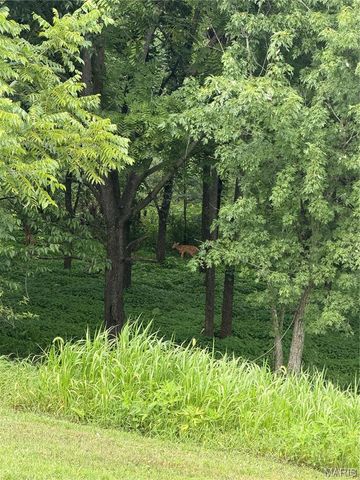 4 Ashley Lane, Hawk Point, MO 63349
