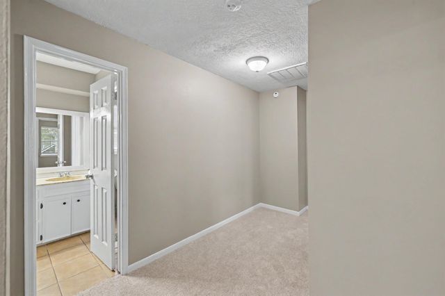 24915 Butterwick Drive, Spring, TX 77389