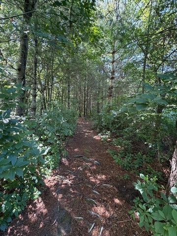 25 Summer Hill Rd, Medway, MA 02053