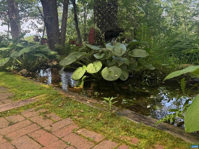 1950 LOCUST HOLLOW RD, Charlottesville, VA 22903