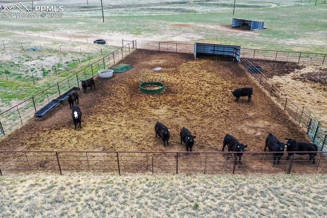 24120 Palomino Circle, Calhan, CO 80808