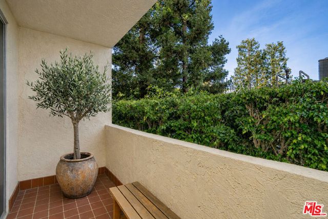 125 Montana Avenue 204, Santa Monica, CA 90403
