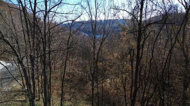 85 Blackberry Ridge Way, Smithville, TN 37166