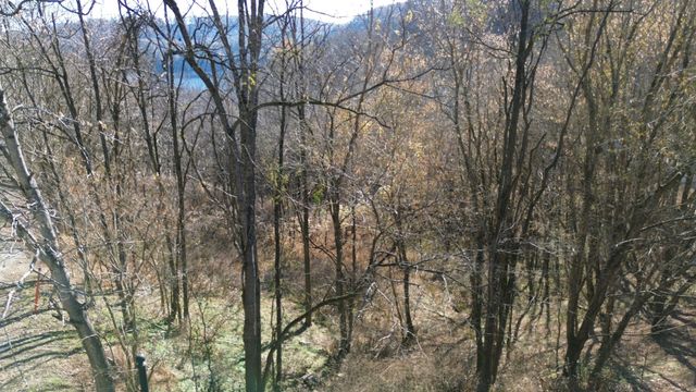 85 Blackberry Ridge Way, Smithville, TN 37166