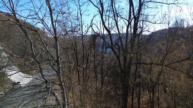 85 Blackberry Ridge Way, Smithville, TN 37166