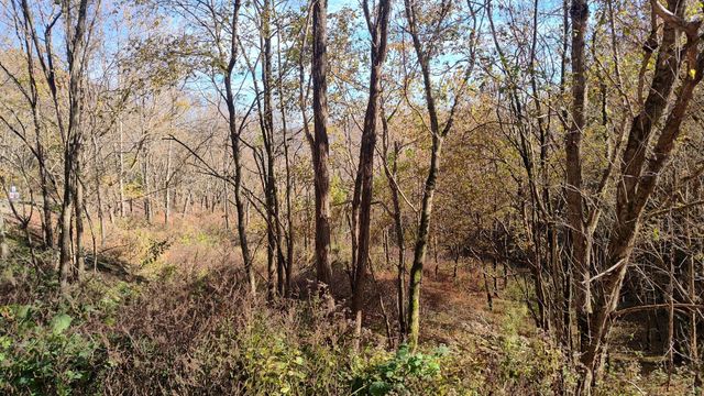 85 Blackberry Ridge Way, Smithville, TN 37166