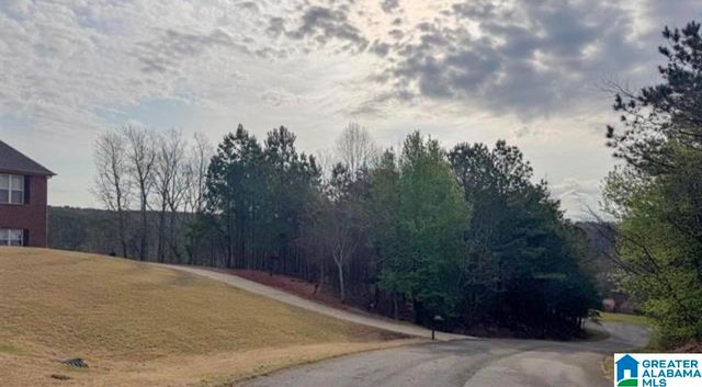 5017 CREEK BLUFF, Mccalla, AL 35111