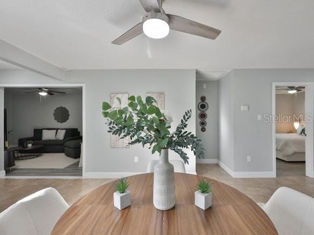 6206 S ADELIA AVENUE, Tampa, FL 33616