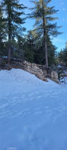 0 No Assigned, Arrowbear, CA 92382