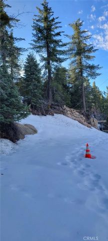 0 No Assigned, Arrowbear, CA 92382