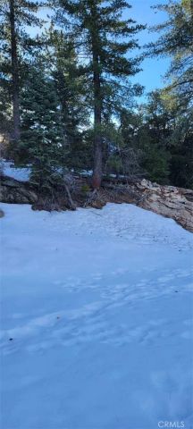 0 No Assigned, Arrowbear, CA 92382