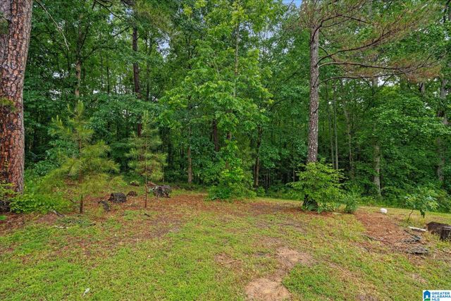 0 & 1279 COUNTY ROAD 459, Heflin, AL 36264