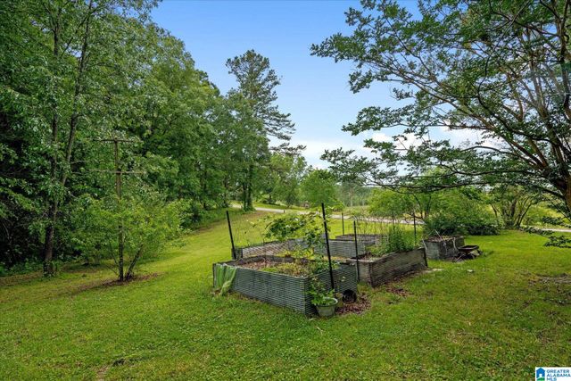 0 & 1279 COUNTY ROAD 459, Heflin, AL 36264
