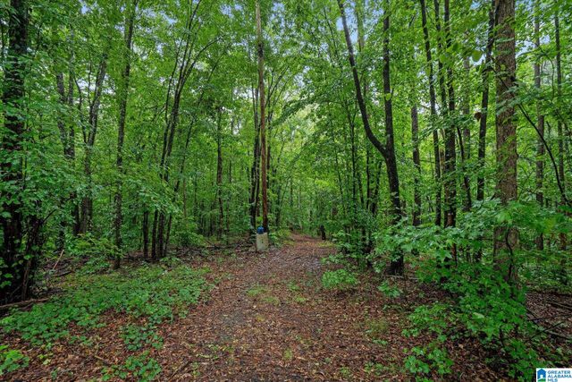 0 & 1279 COUNTY ROAD 459, Heflin, AL 36264