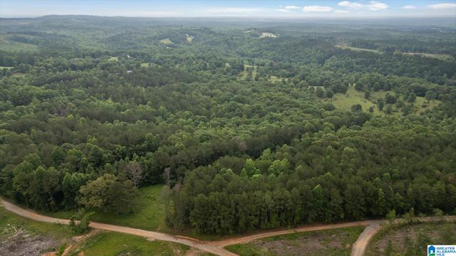 0 & 1279 COUNTY ROAD 459, Heflin, AL 36264