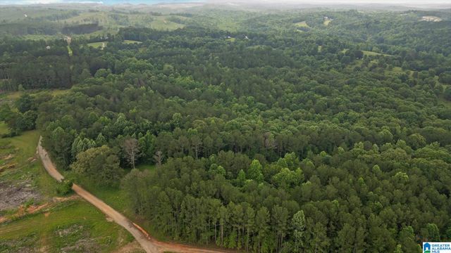 0 & 1279 COUNTY ROAD 459, Heflin, AL 36264