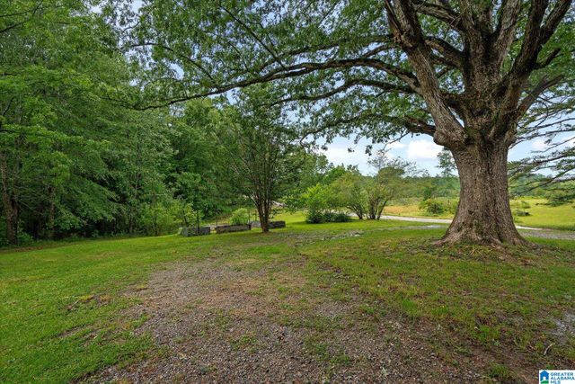 0 & 1279 COUNTY ROAD 459, Heflin, AL 36264