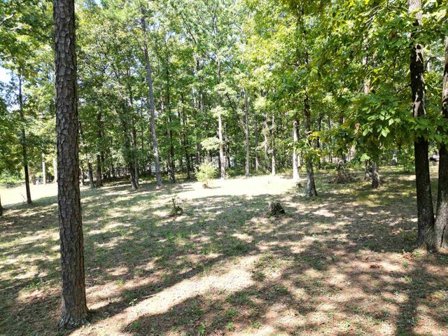 507 Henderson Road, Clinton, AR 72031