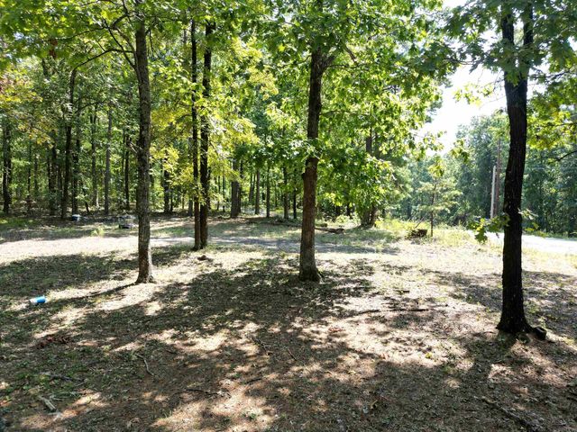 507 Henderson Road, Clinton, AR 72031