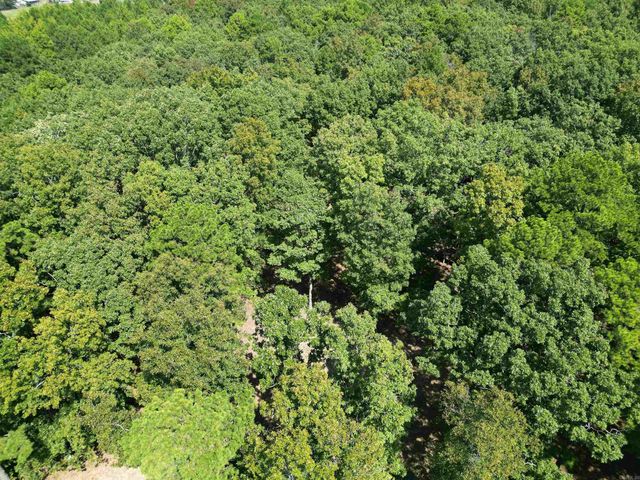 507 Henderson Road, Clinton, AR 72031