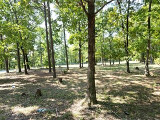 507 Henderson Road, Clinton, AR 72031