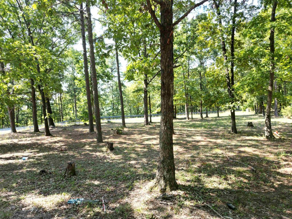 507 Henderson Road, Clinton, AR 72031