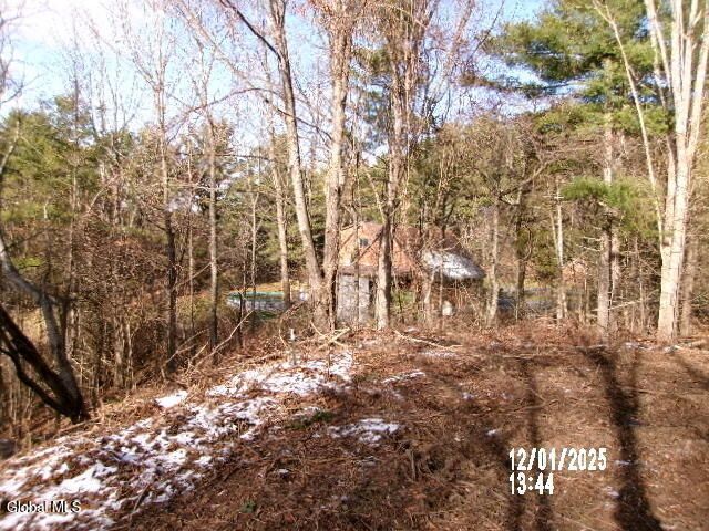 219 Barton Hill Road, Schoharie, NY 12157