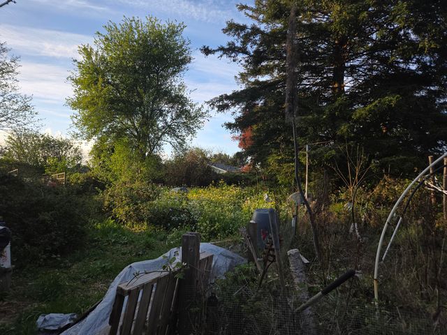 1495 School Road, Mckinleyville, CA 95519