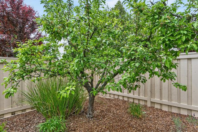 354 Daylily Ln, Lincoln, CA 95648