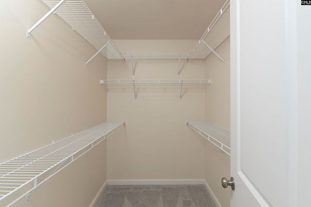 133 Prismatic Way, Lexington, SC 29072