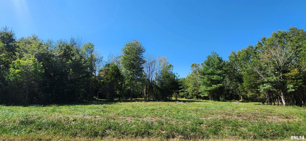 Image 1 of property listing at 0 N Log Cabin Road, Mt Vernon, IL 62864