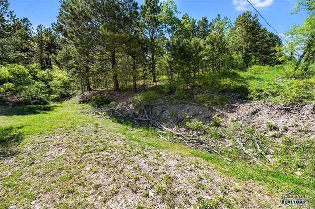 20813 Mollman R LEAD, Lead, SD 57754