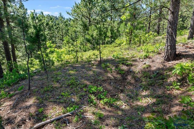 20813 Mollman R LEAD, Lead, SD 57754