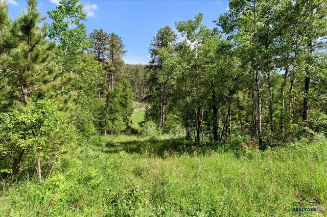 20813 Mollman R LEAD, Lead, SD 57754