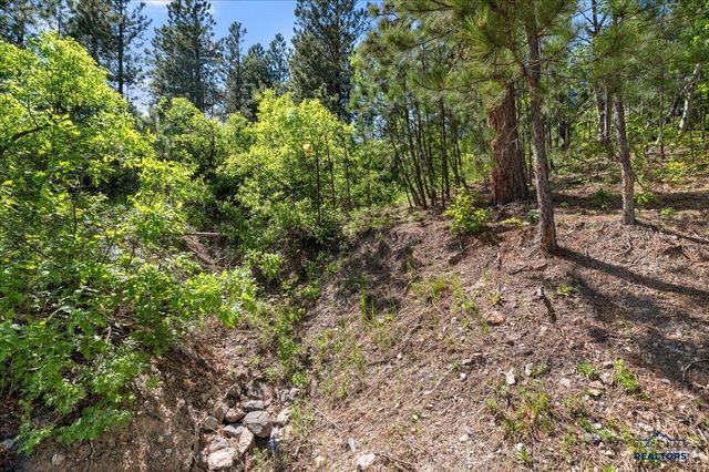 20813 Mollman R LEAD, Lead, SD 57754