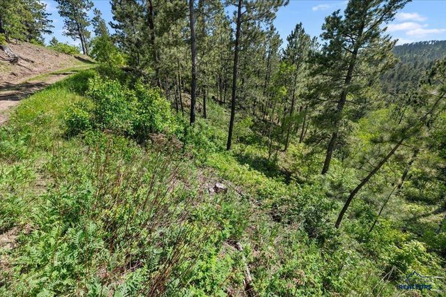 20813 Mollman R LEAD, Lead, SD 57754