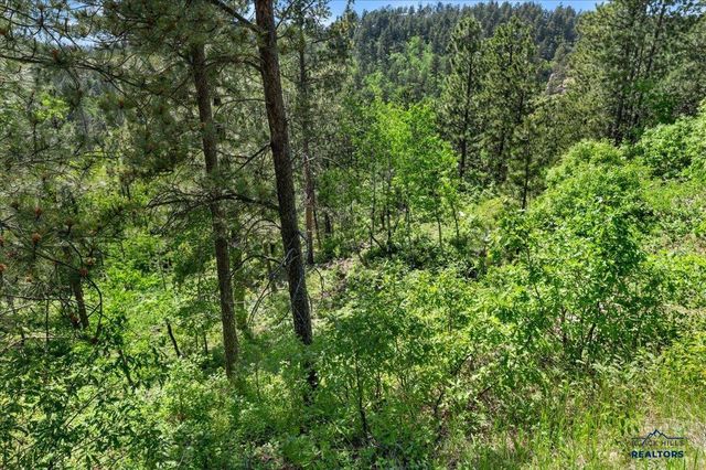 20813 Mollman R LEAD, Lead, SD 57754