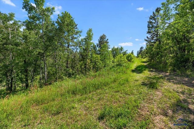 20813 Mollman R LEAD, Lead, SD 57754