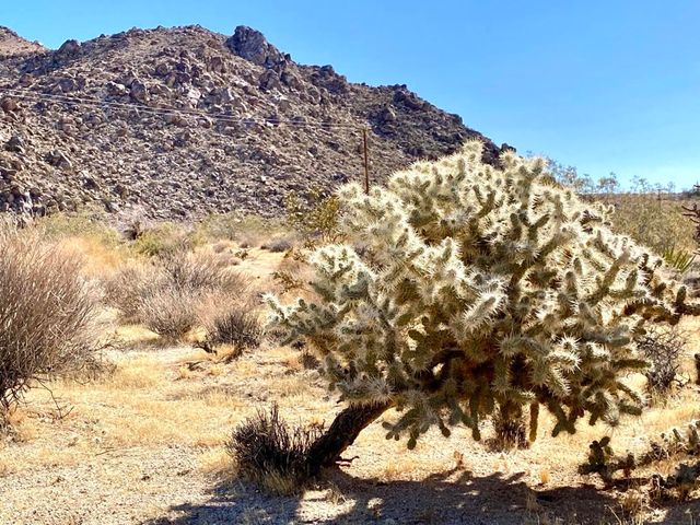 227 Sullivan Road, 29 Palms, CA 92277