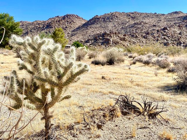227 Sullivan Road, 29 Palms, CA 92277