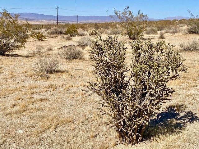 227 Sullivan Road, 29 Palms, CA 92277